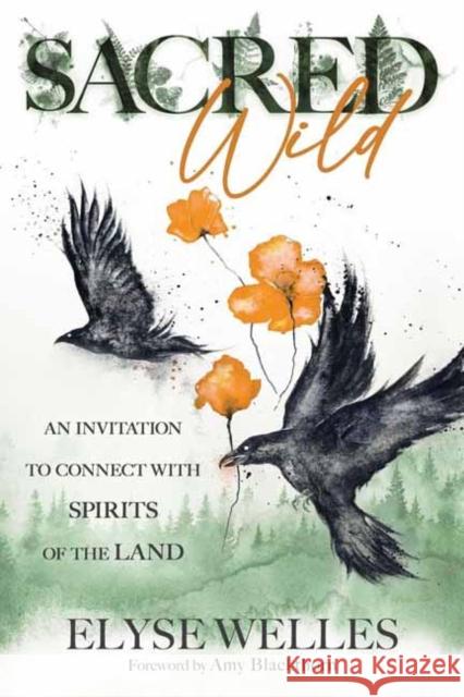Sacred Wild: An Invitation to Connect with Spirits of the Land Amy Blackthorn 9780738779768 Llewellyn Publications