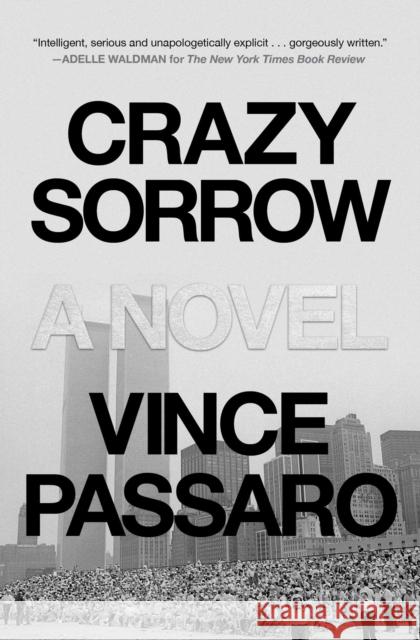 Crazy Sorrow Vince Passaro 9780743245111 Simon & Schuster