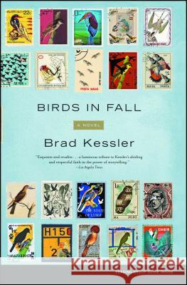 Birds in Fall Brad Kessler 9780743287395