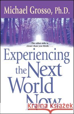 Experiencing the Next World Now Michael Grosso 9780743471053 Pocket Books