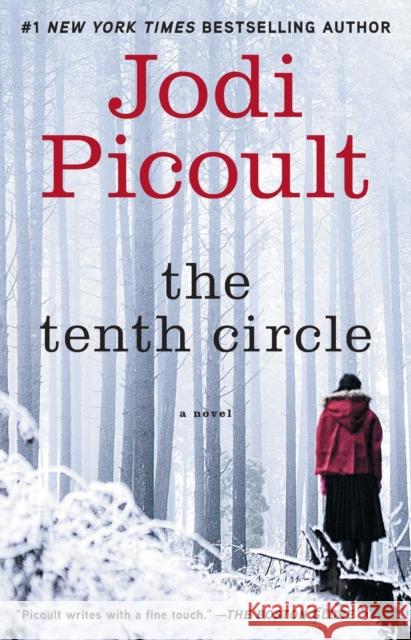 The Tenth Circle Jodi Picoult Dustin Weaver 9780743496711 Washington Square Press