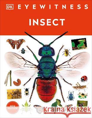 Insect DK 9780744081572 DK Publishing (Dorling Kindersley)