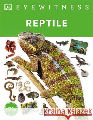 Eyewitness Reptile Dk 9780744084771 DK Publishing (Dorling Kindersley)