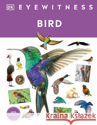 Eyewitness Bird Dk 9780744092103 DK Publishing (Dorling Kindersley)