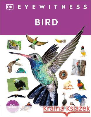 Eyewitness Bird Dk 9780744092110 DK Publishing (Dorling Kindersley)