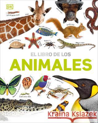 El Libro de Los Animales (Our World in Pictures: The Animal Book) David Burnie 9780744094107