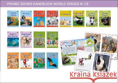 Phonic Books Dandelion World Stages 8-15 (Words with Four Sounds CVCC) Phonic Books 9780744095920 Phonic Books