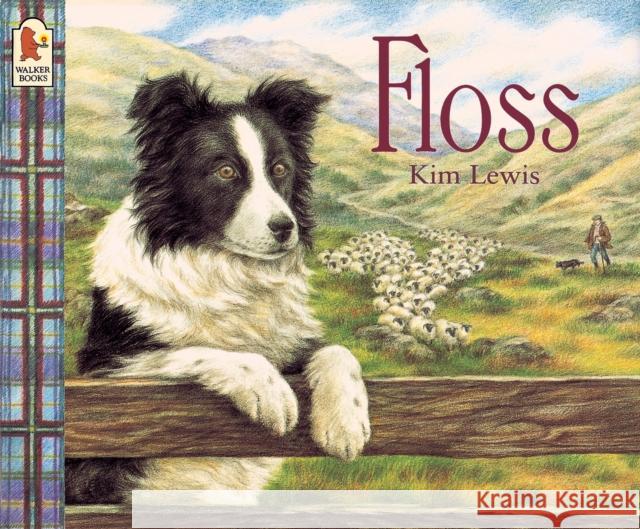 Floss Kim Lewis 9780744520712 Walker Books Ltd