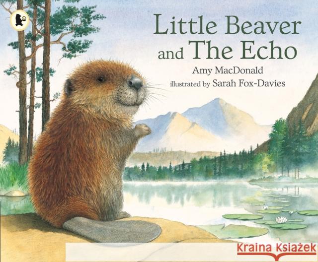 Little Beaver and the Echo Amy MacDonald 9780744523157