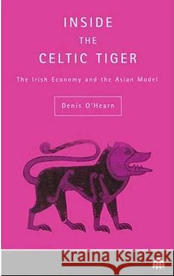 Inside the Celtic Tiger Denis O'hearn 9780745312835
