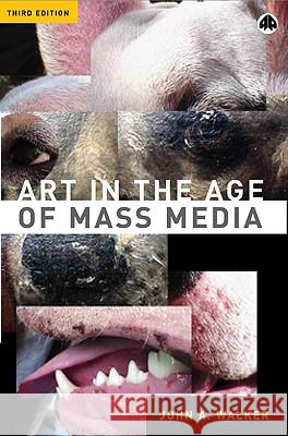 Art in the Age of Mass Media John Walker 9780745317441 0