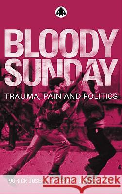 Bloody Sunday: Trauma, Pain and Politics Hayes, Patrick Joseph 9780745318530