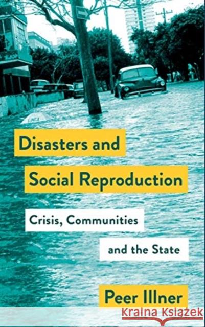 Disasters and Social Reproduction: Crisis Response Between the State and Community Peer Illner 9780745339542 Pluto Press (UK)