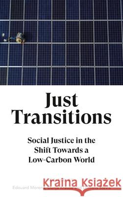 Just Transitions: Social Justice in the Shift Towards a Low-Carbon World Edouard Morena Dunja Krause Dimitris Stevis 9780745339948 Pluto Press (UK)