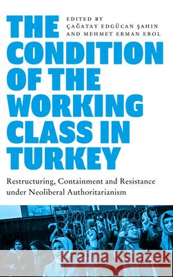 The Condition of the Working Class in Turkey: Labour under Neoliberal Authoritarianism Edgücan Şahin, Çağatay 9780745343129 Pluto Press (UK)