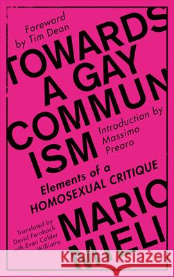 Towards a Gay Communism: Elements of a Homosexual Critique Mario Mieli David Fernbach 9780745399522
