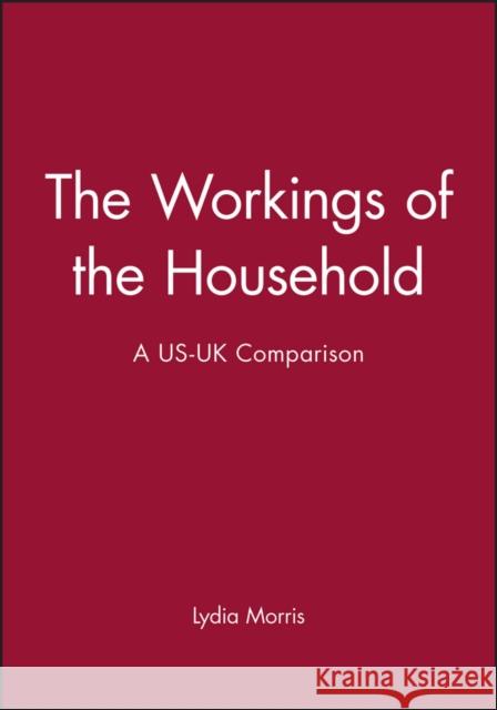 The Workings of the Household: A Us-UK Comparison Morris, Lydia 9780745604428 Polity Press