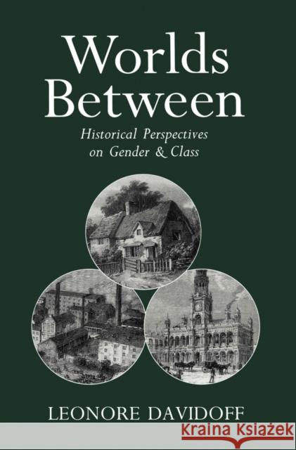 Worlds Between : Historical Perspectives on Gender and Class Leonore Davidoff 9780745609843