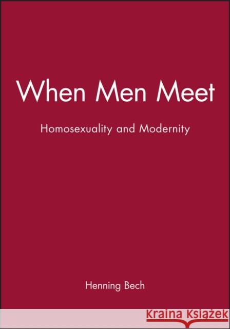 When Men Meet: Homosexuality and Modernity Bech, Henning 9780745615592