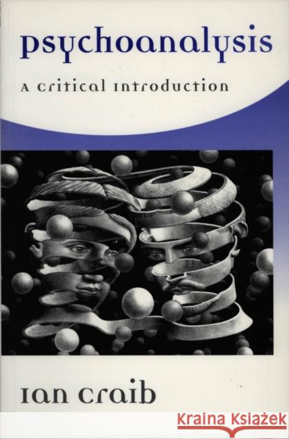 Psychoanalysis Craib, Ian 9780745619798 Polity Press