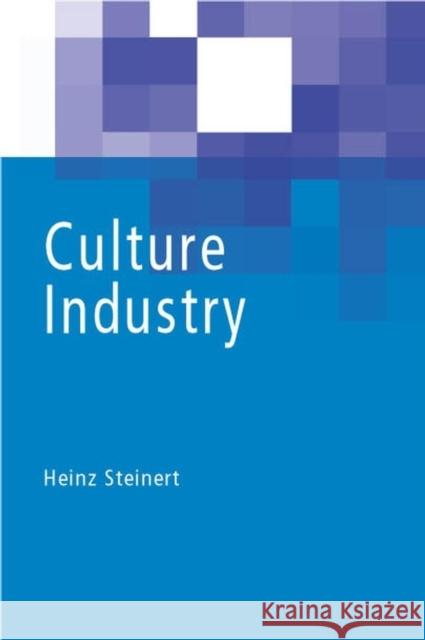 Culture Industry Heinz Steinert 9780745626772