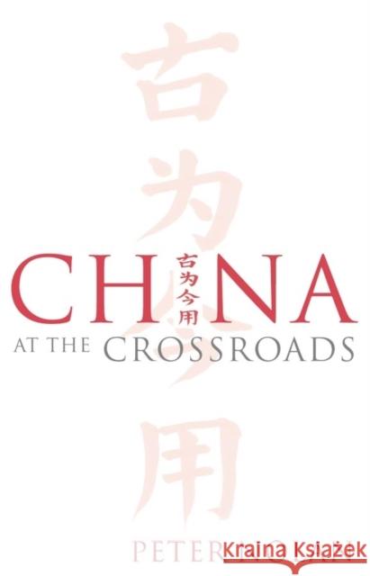 China at the Crossroads Peter Nolan Peter Nolan 9780745632391 Polity Press