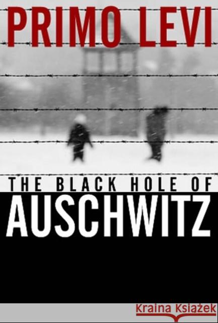 The Black Hole of Auschwitz Primo Levi Marco Belpoliti Sharon Wood 9780745632407 Polity Press