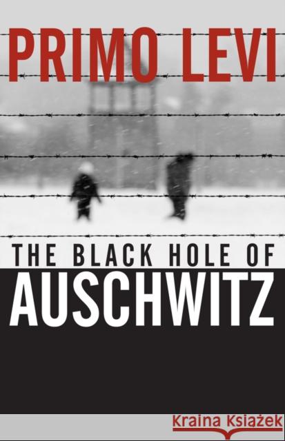 The Black Hole of Auschwitz Levi Primo 9780745632414 Polity Press