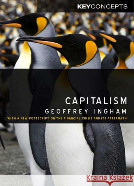 Capitalism: With a New PostScript on the Financial Crisis and Its Aftermath Ingham, Geoffrey 9780745636474 BLACKWELL PUBLISHERS
