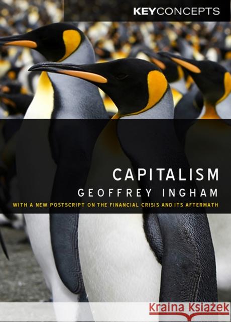 Capitalism: With a New PostScript on the Financial Crisis and Its Aftermath Ingham, Geoffrey 9780745636481 0
