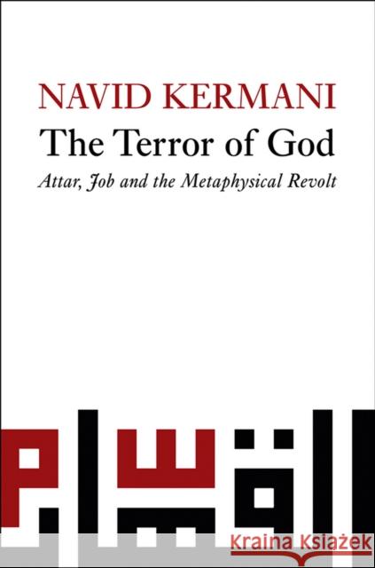 Terror of God: Attar, Job and the Metaphysical Revolt Kermani, Navid 9780745645278 