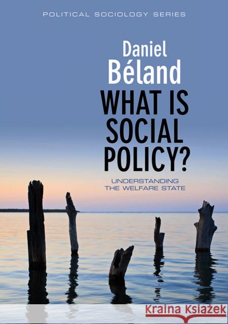 What Is Social Policy? Beland, Daniel 9780745645834