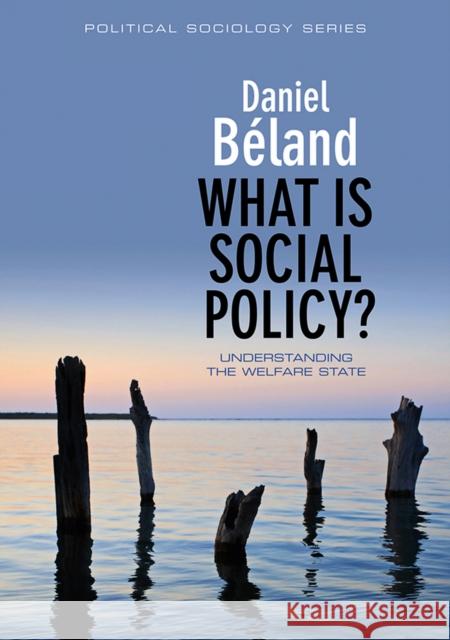 What Is Social Policy? Beland, Daniel 9780745645841 0