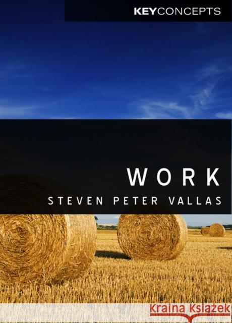 Work: A Critique Vallas, Steven 9780745646787