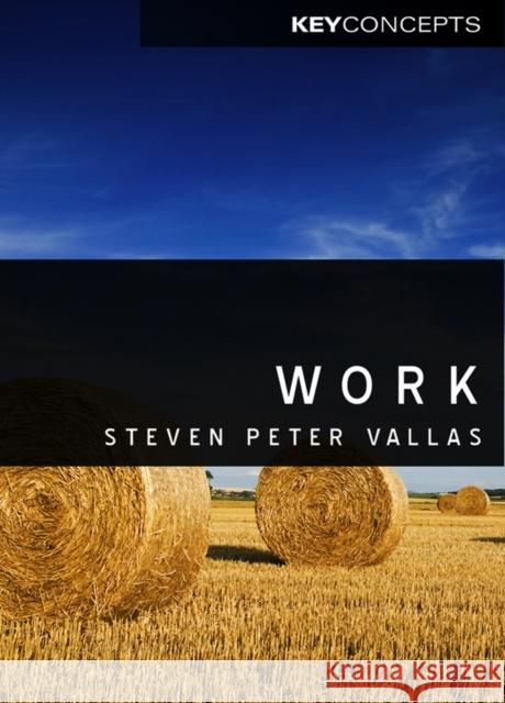 Work: A Critique Vallas, Steven 9780745646794