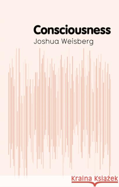 Consciousness Weisberg, Josh 9780745653440 John Wiley & Sons