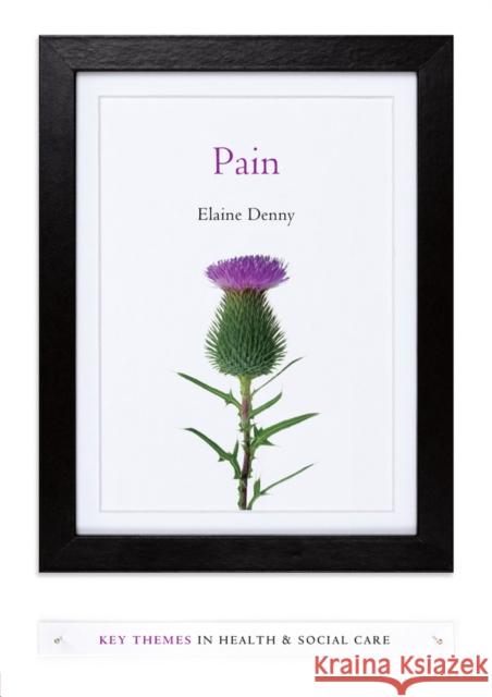 Pain: A Sociological Introduction Denny, Elaine 9780745655543