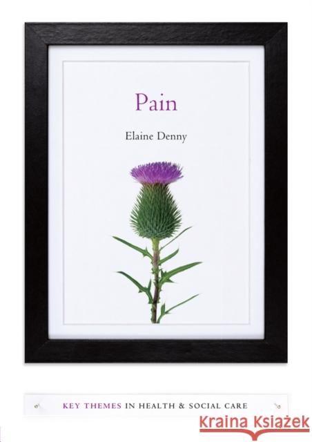 Pain: A Sociological Introduction Denny, Elaine 9780745655550