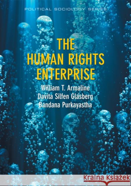 The Human Rights Enterprise: Political Sociology, State Power, and Social Movements Armaline, William T. 9780745663708 John Wiley & Sons