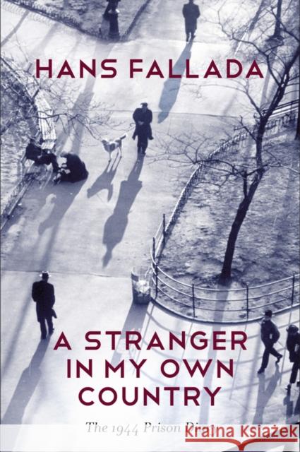 A Stranger in My Own Country: The 1944 Prison Diary Fallada, Hans 9780745669885 John Wiley & Sons