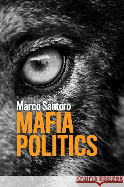 Mafia Politics Marco Santoro 9780745670676