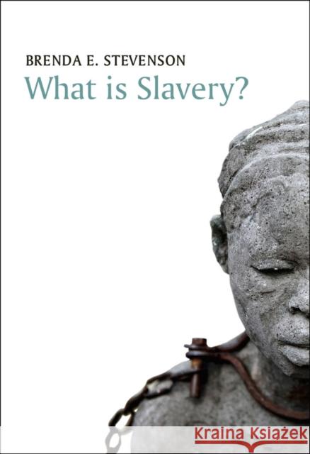 What Is Slavery? Stevenson, Brenda E. 9780745671505 John Wiley & Sons