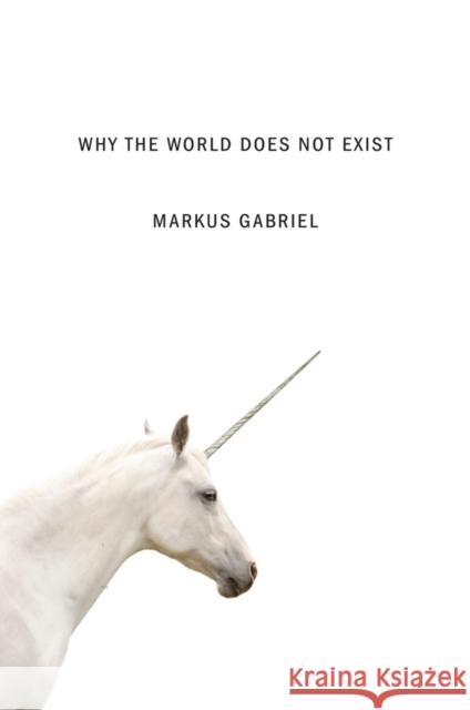 Why the World Does Not Exist Gabriel, M 9780745687575 John Wiley and Sons Ltd