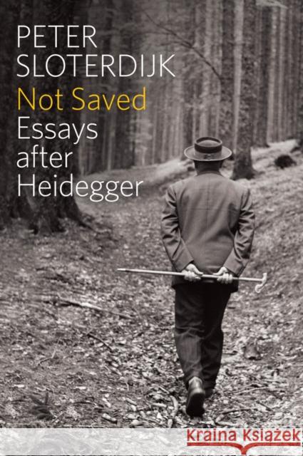 Not Saved: Essays After Heidegger Sloterdijk, Peter 9780745696980 Polity Press