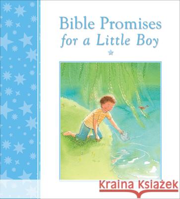 Bible Promises for a Little Boy Mary Joslin 9780745964041 Lion Hudson