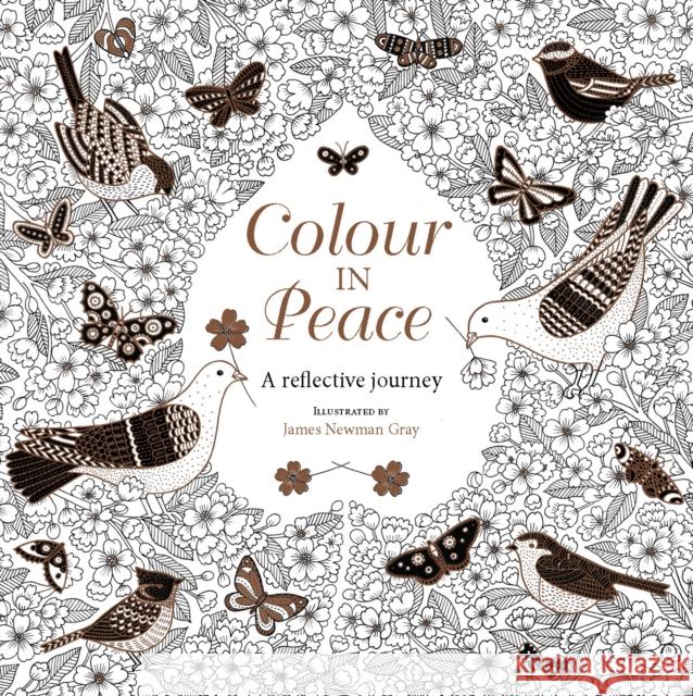 Colour in Peace: A Reflective Journey James Newman Gray 9780745968797