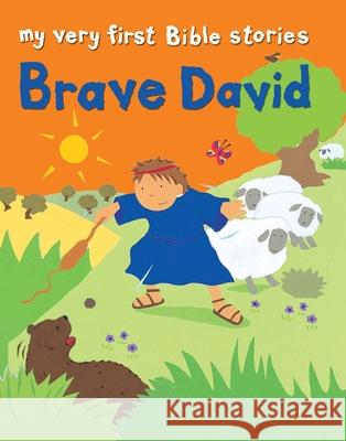 Brave David Lois Rock 9780745977768