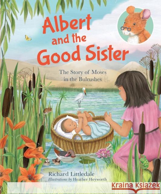 Albert and the Good Sister: The Story of Moses in the Bulrushes Richard Littledale Heather Heyworth 9780745977959