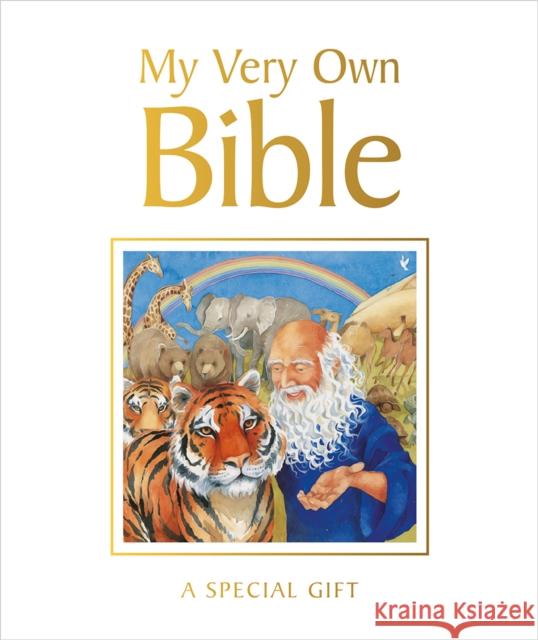 My Very Own Bible: A Special Gift Rock, Lois 9780745979052 Lion Children's Bks