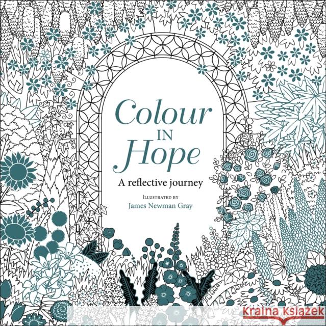 Colour in Hope: A reflective journey James Newman Grey 9780745980058